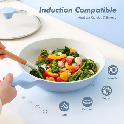 Nonstick Chef Frying Pan With Glass Lid